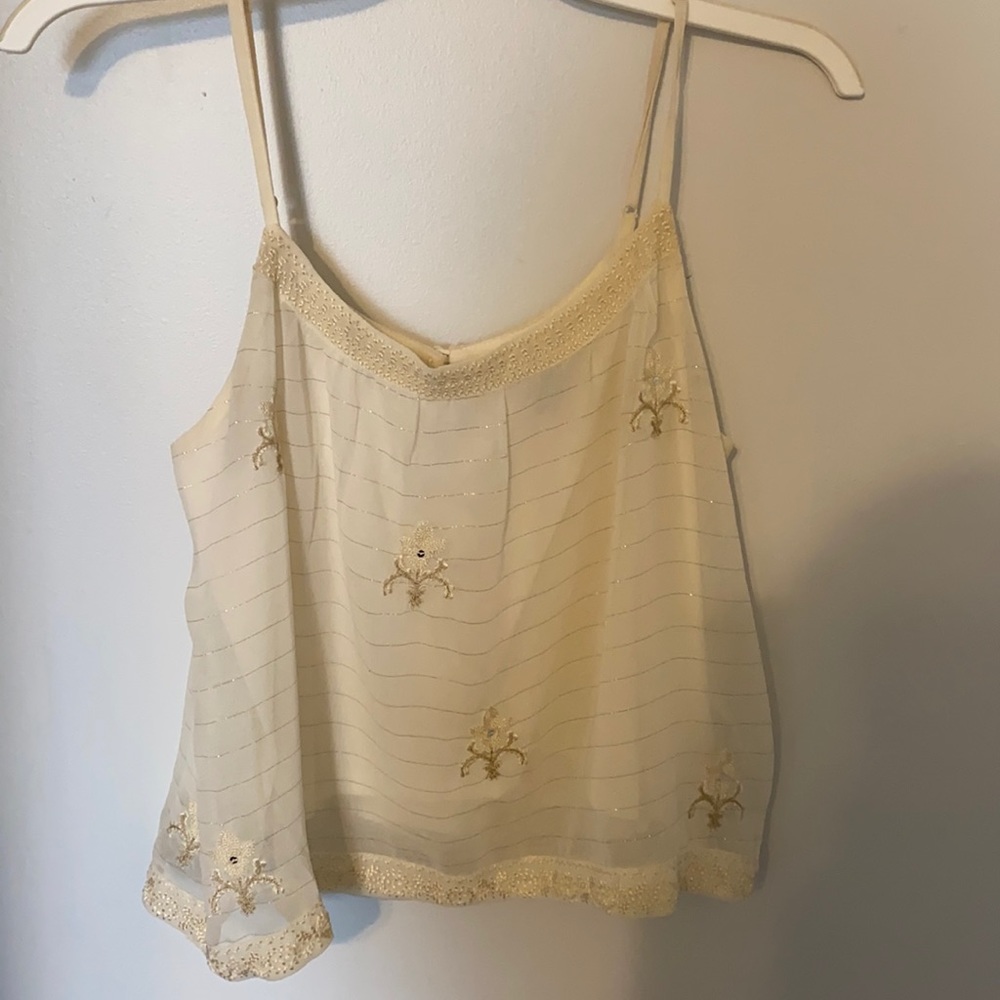 American Eagle Outfitters sparkly top.